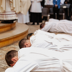 Diakonenweihe 2024 / Erzdiözese Wien/ Schönlaub