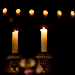 2025 Gründonnerstag / Erzdiözese Wien/Schönlaub, Stephan Schönlaub