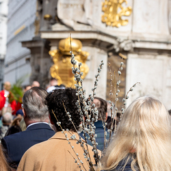 2025 Palmsonntag / Erzdiözese Wien/ Schönlaub, Stephan Schönlaub