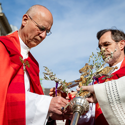 2025 Palmsonntag / Erzdiözese Wien/ Schönlaub, Stephan Schönlaub