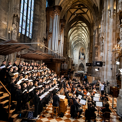 Stephansdom: Österreich nahm Abschied von Papst Franziskus