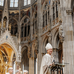 Diakonenweihe 2024 / Erzdiözese Wien/ Schönlaub