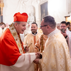 Göttlichen Liturgie / Erzdiözese Wien/ Schönlaub, Stephan Schönlaub