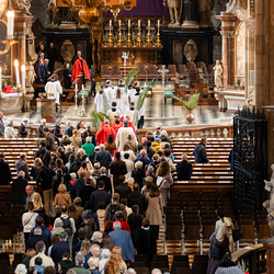 2025 Palmsonntag / Erzdiözese Wien/ Schönlaub, Stephan Schönlaub