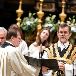 Allerseelen Requiem im Stephansdom / Erzdiözese Wien/Schönlaub, Stephan Schönlaub Allerseelen Requiem im Stephansdom