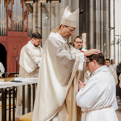 Diakonenweihe 2024 / Erzdiözese Wien/ Schönlaub