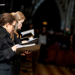 2025 Palmsonntag / Erzdiözese Wien/ Schönlaub, Stephan Schönlaub