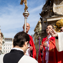 2025 Palmsonntag / Erzdiözese Wien/ Schönlaub, Stephan Schönlaub